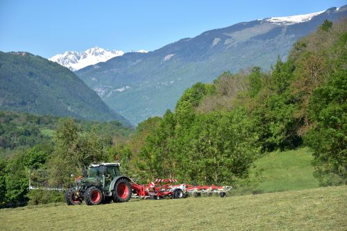Les Foins Gaec Alpin Fromage Beaufort Aop Savoie 20