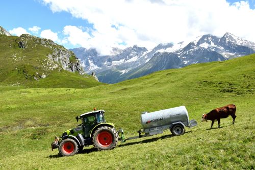 Rencontre Matthieu Ledru Alpage De La Chiaupe 4 Juillet 2023 Fromage Beaufort 10 01