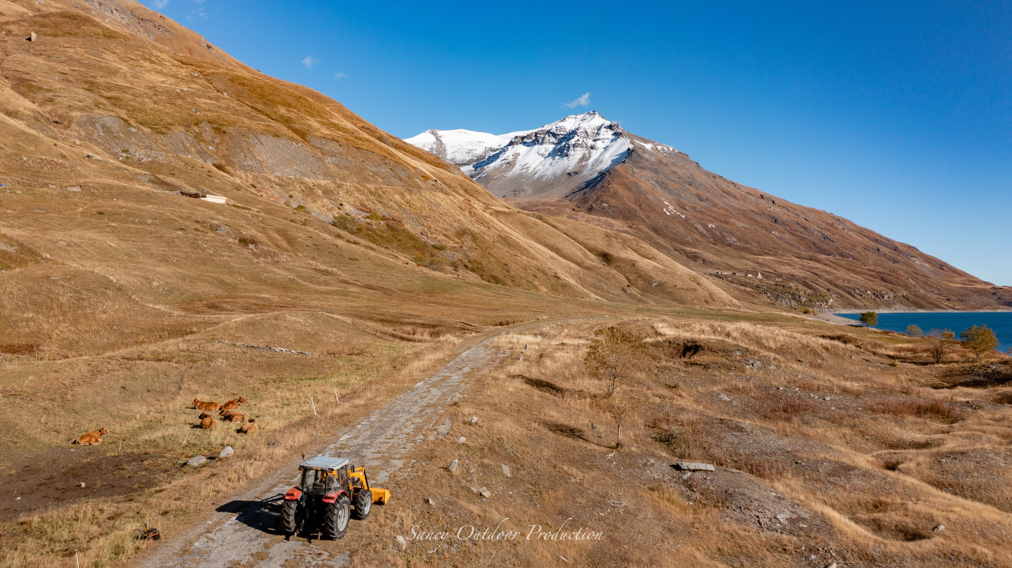 Tranches De Vie Gaec La Vachere Automne 2021 Fromage Beaufort Aop Savoie 17